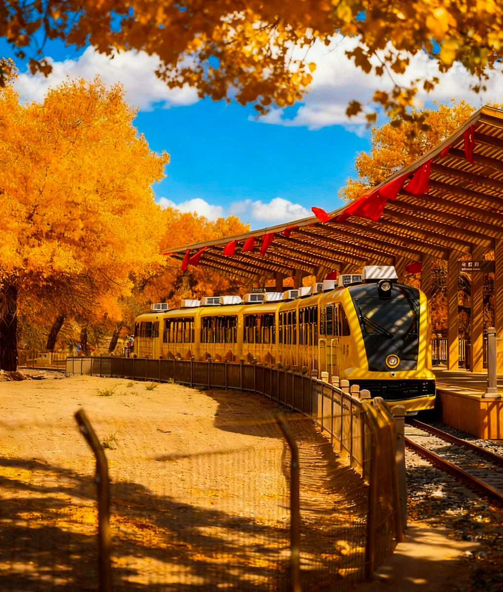 额济纳胡杨林，金秋时节的胡杨倒映在水中，沙漠中的金色奇迹