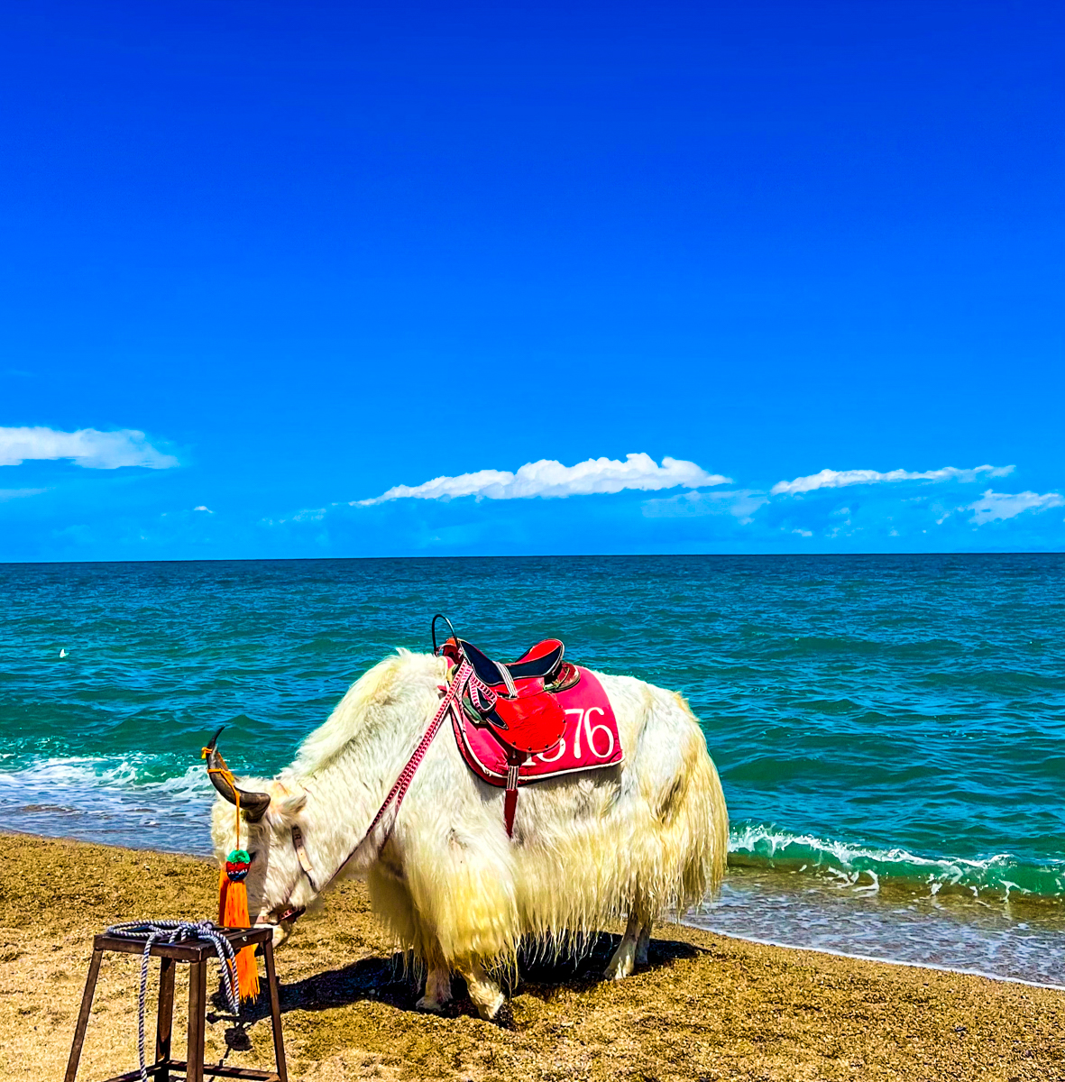 青海湖环湖公路与湛蓝湖水,黑马河日出与草原经幡风光