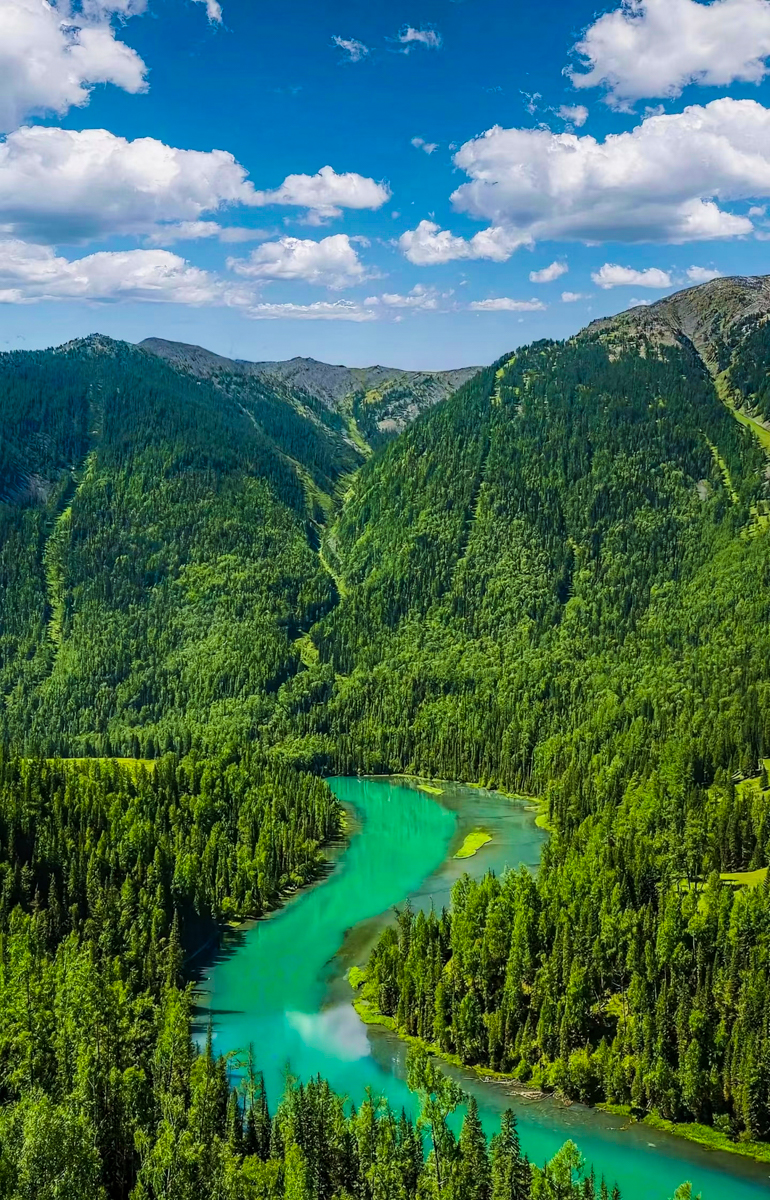 新疆喀纳斯神仙湾晨雾与金色森林，阿尔泰山终点自驾旅行风光